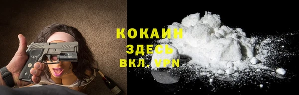 прущие грибы Балахна