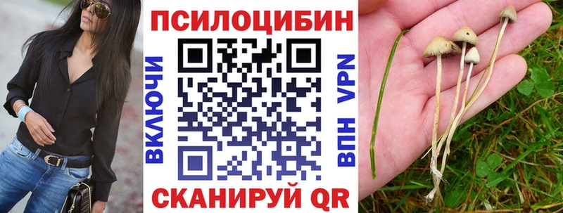 Галлюциногенные грибы Psilocybine cubensis  что такое наркотик  Тула 