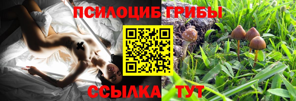 Псилоцибиновые грибы MAGIC MUSHROOMS Тула