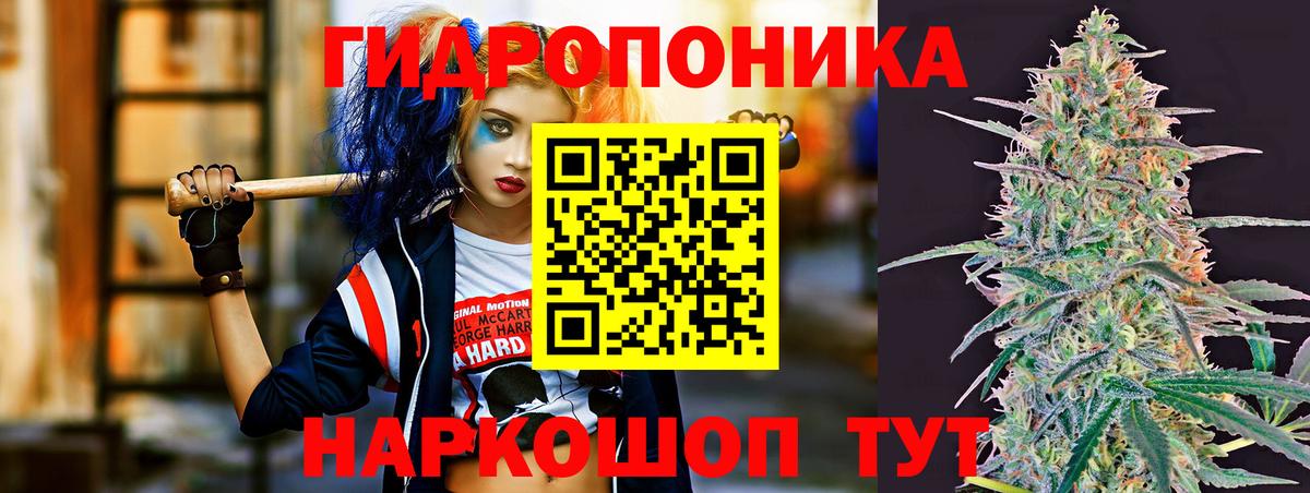 Бошки марихуана сатива Тула